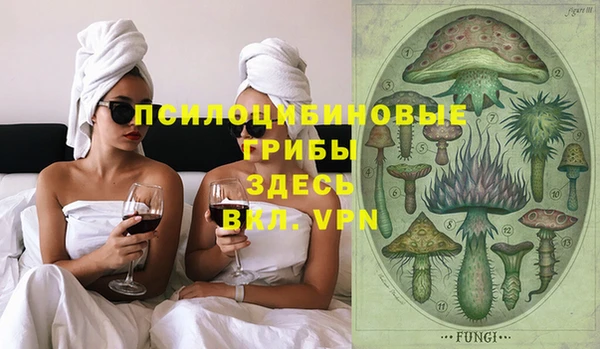 дмт Медногорск