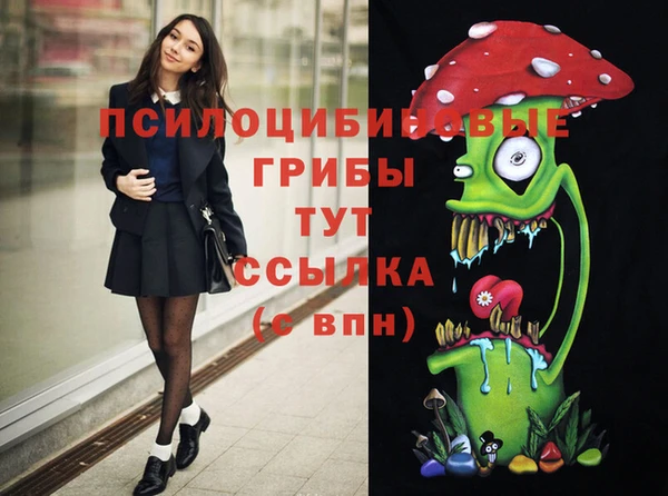 дмт Медногорск