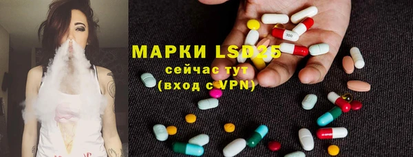 спиды Медвежьегорск