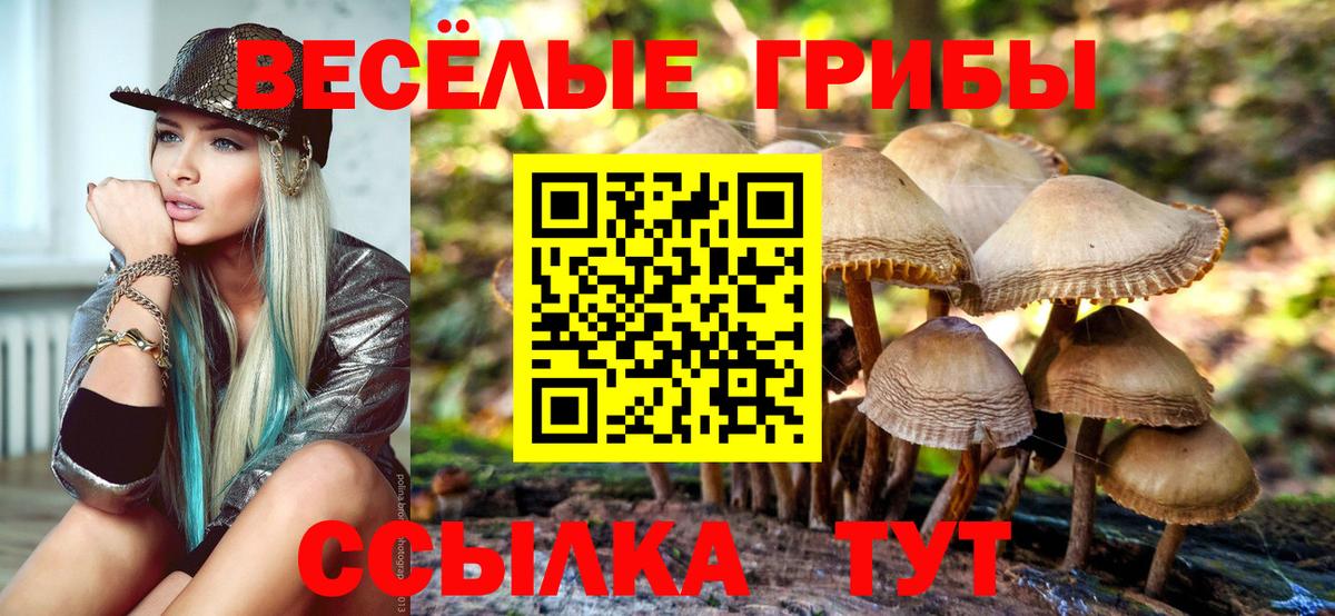 Псилоцибиновые грибы мухоморы Сосновоборск